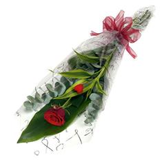 Single Red Rose Gift