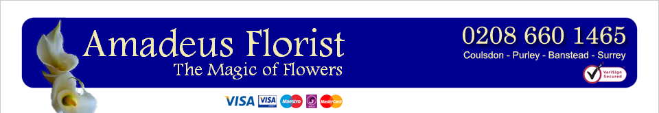 Amadeus Florist Coulsdon Purley Surrey