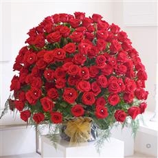 Wow! 200 Red Rose Arrangement