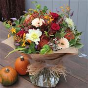 Autumn GRACE