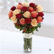  Copper Roses
